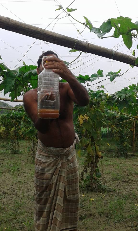 নিরাপদ সবজি, ফরিদপুর সদর